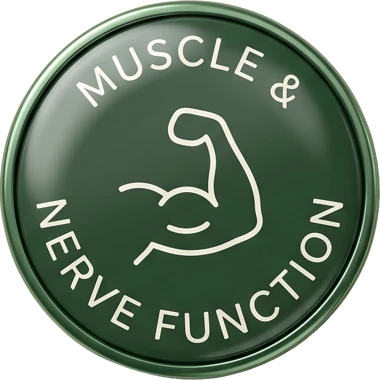 Muscle and nerve function