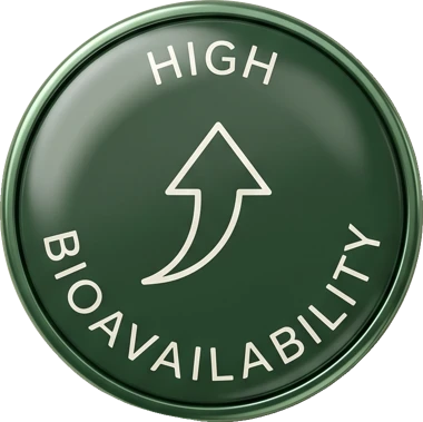 High bioavailability