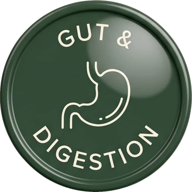 Gut and digestion